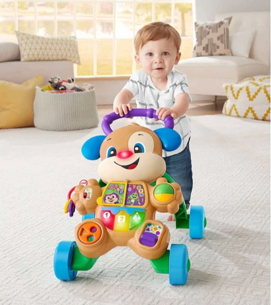 Fisher Price Türkçe ve İngilizce Eğitici Köpekçik Yürüteç FTG10 - 2