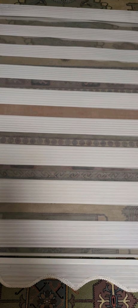 ZEBRA STOR PERDE - 7