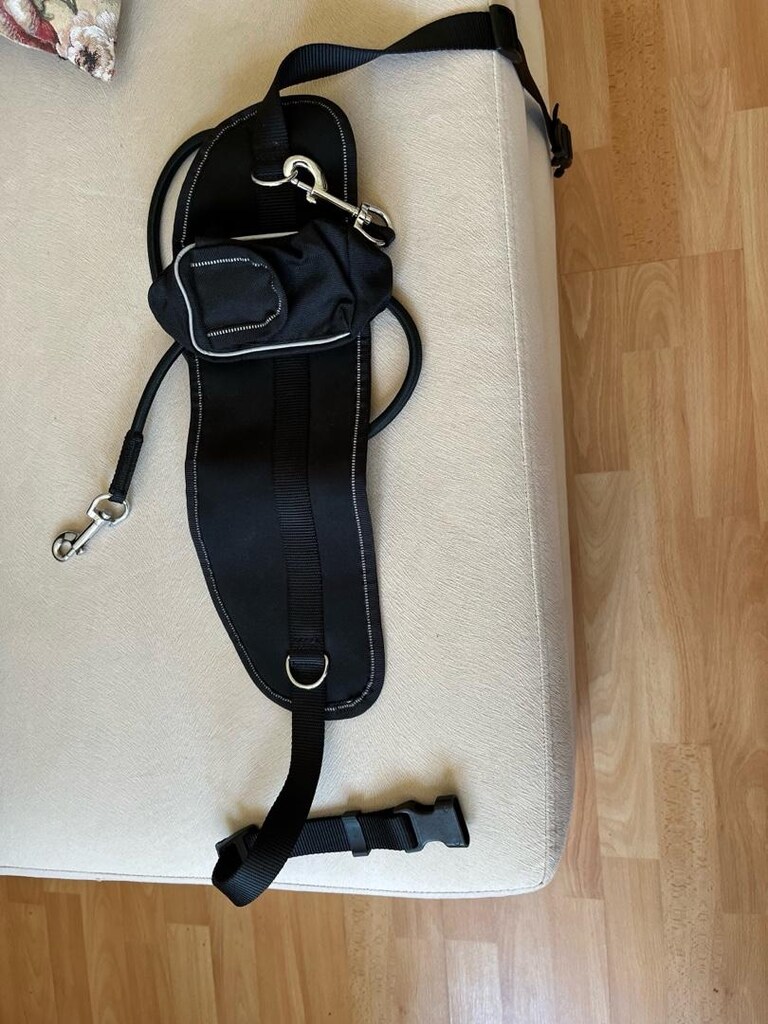 Tchibo TCM köpek tasmaso