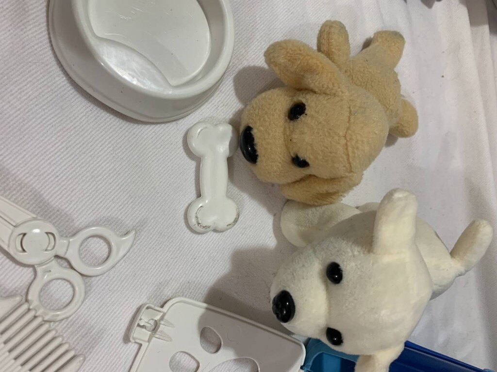 iki köpekli taşıma ve bakım seti - 4