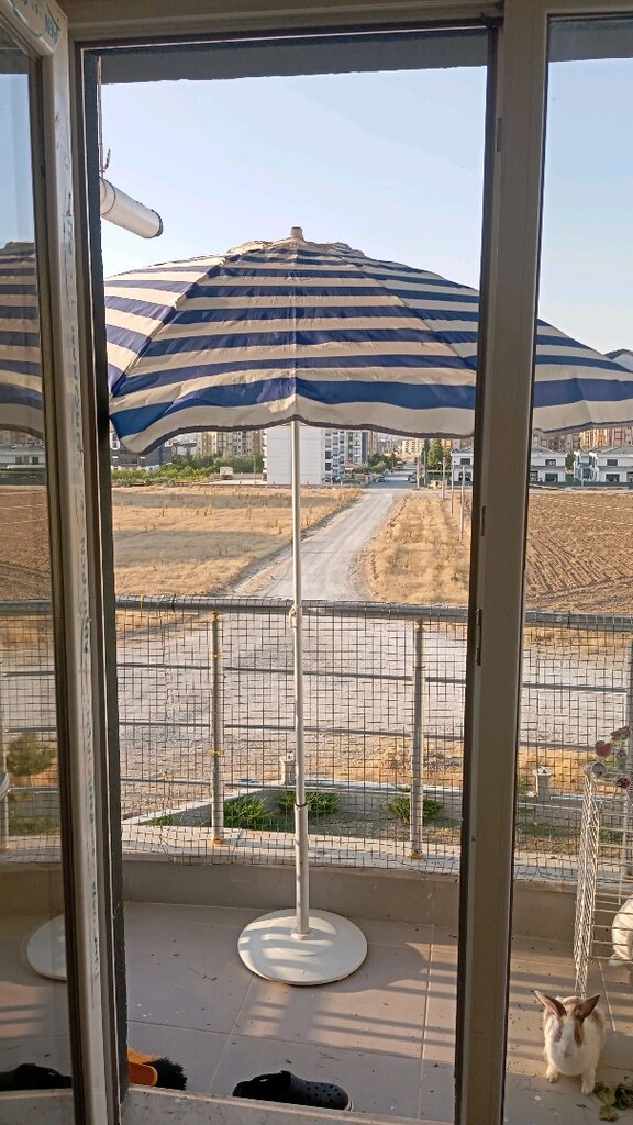 demir ayakli şemsiye - 2