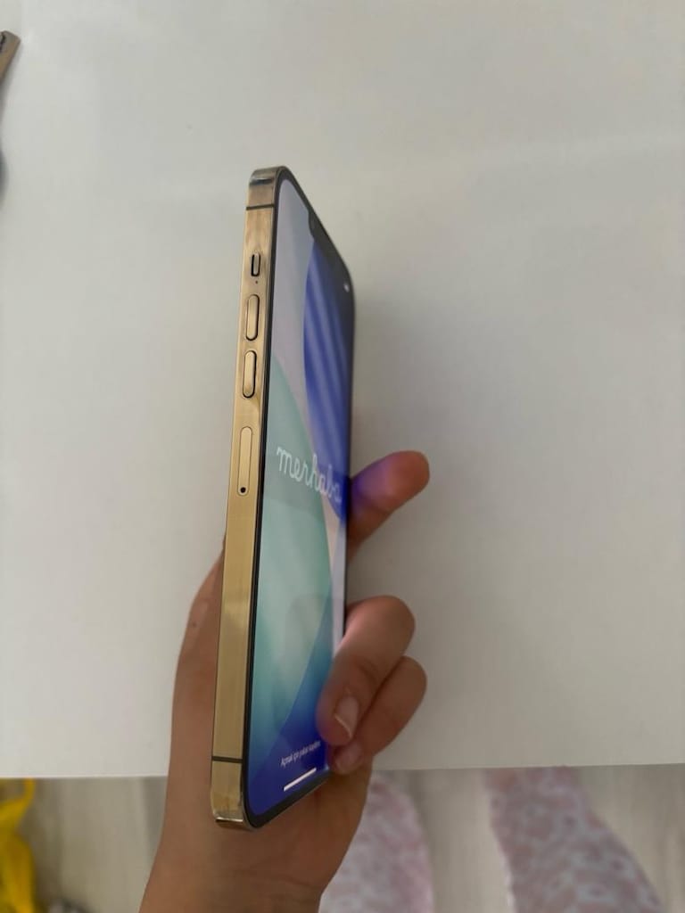 iPhone 13 pro max - 4