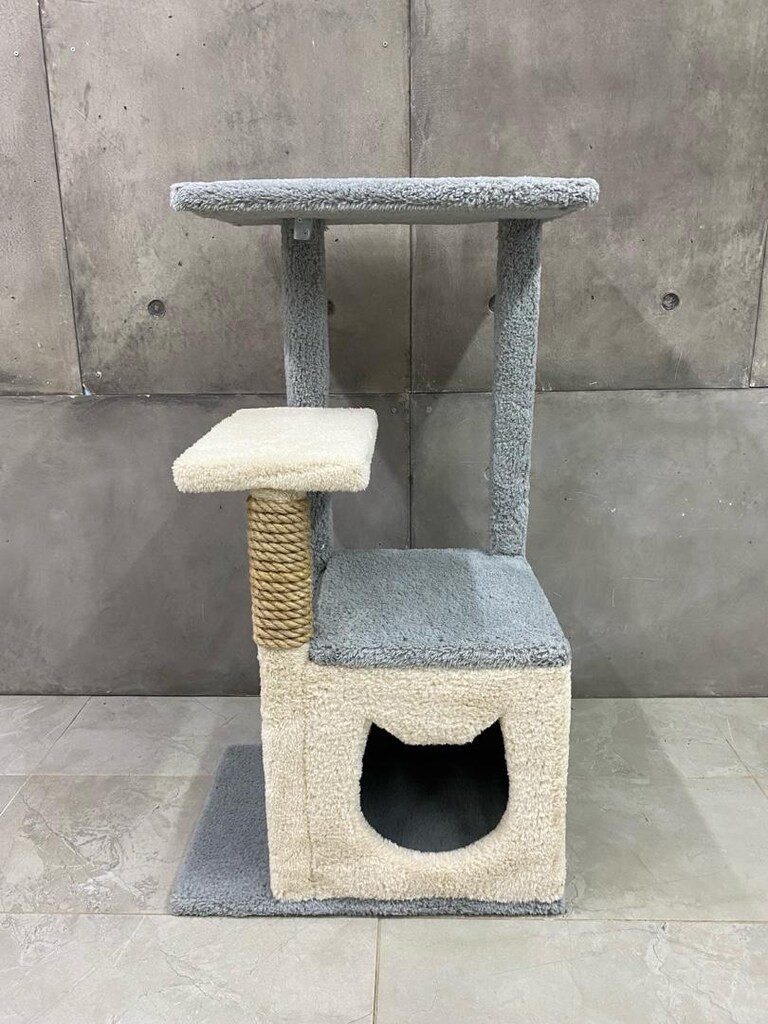 kedi evi