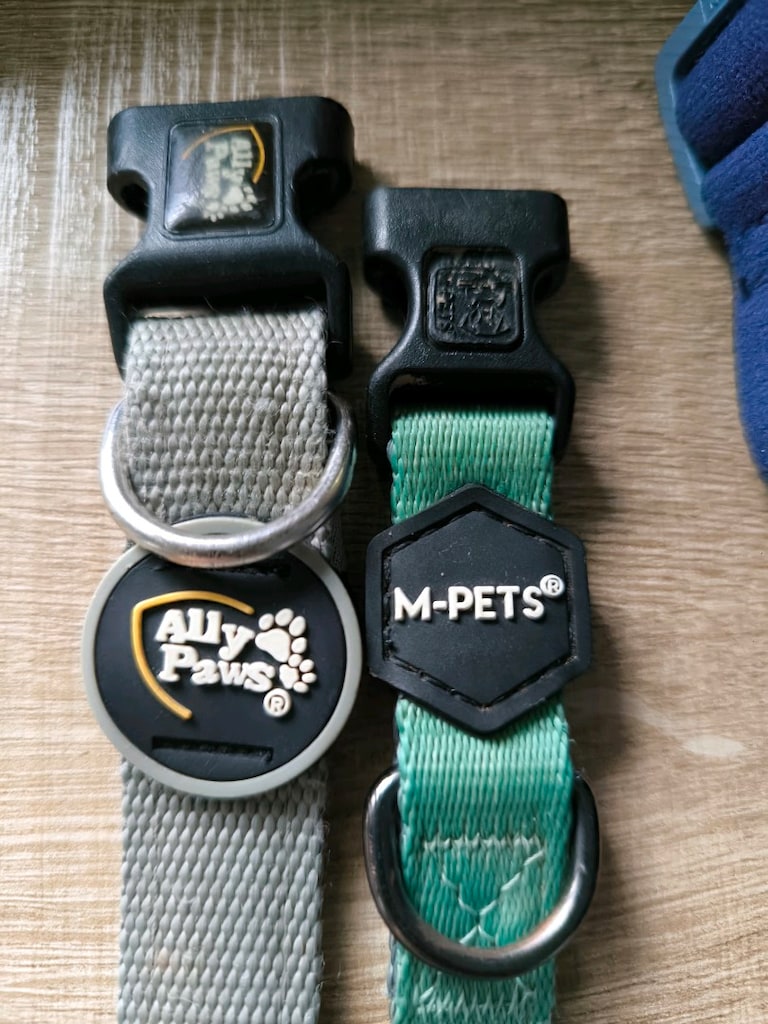 köpek yatak 50*70 cm + 35 ve 43 cm Lik boyun+ eğitim tasmasi hediye - 4