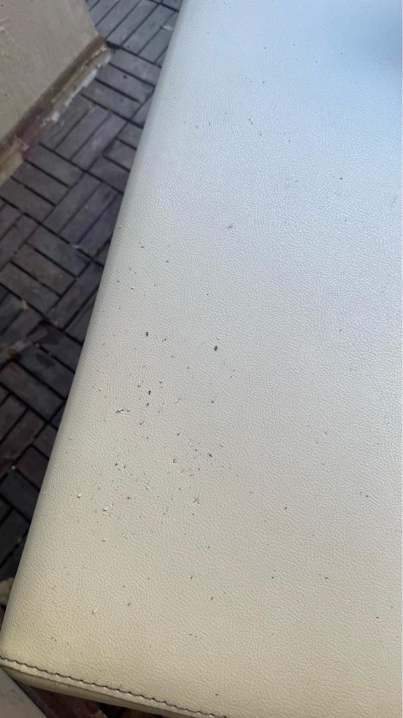 EKAS SANTOS BEYAZ KANAPE BERJER - 9