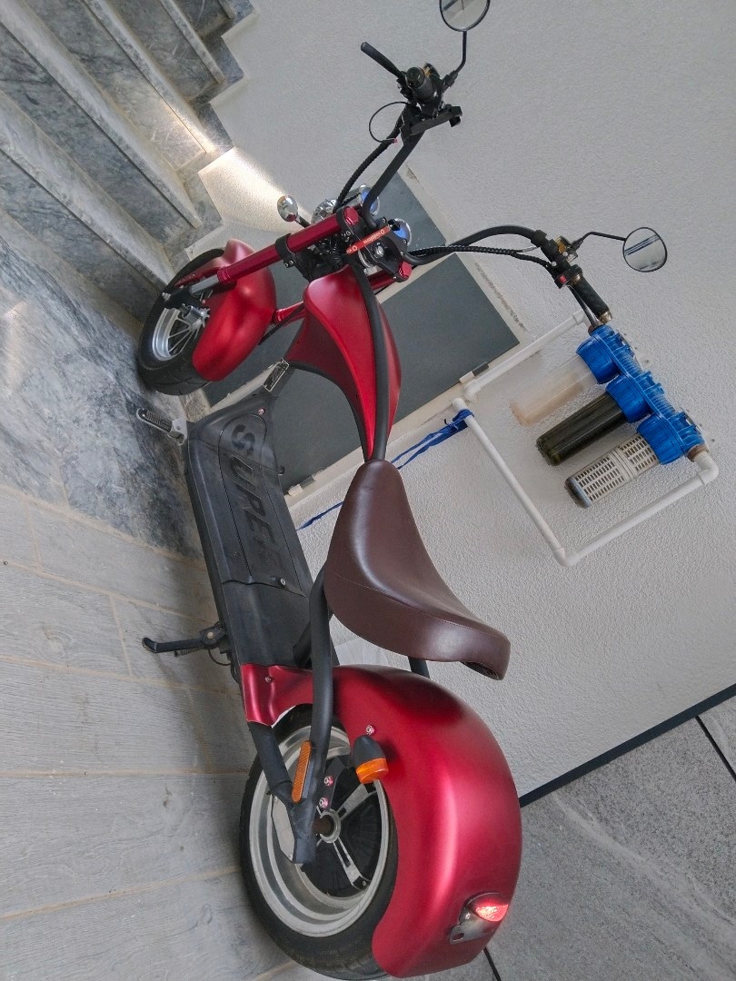 Mangoosteen m1 elektrikli motor bisiklet - 11