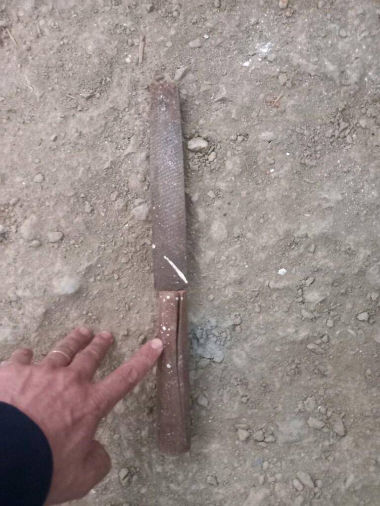 marangoz törpüsü - 2