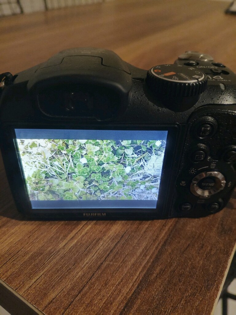 fujifilm fotoğraf makinası - 2