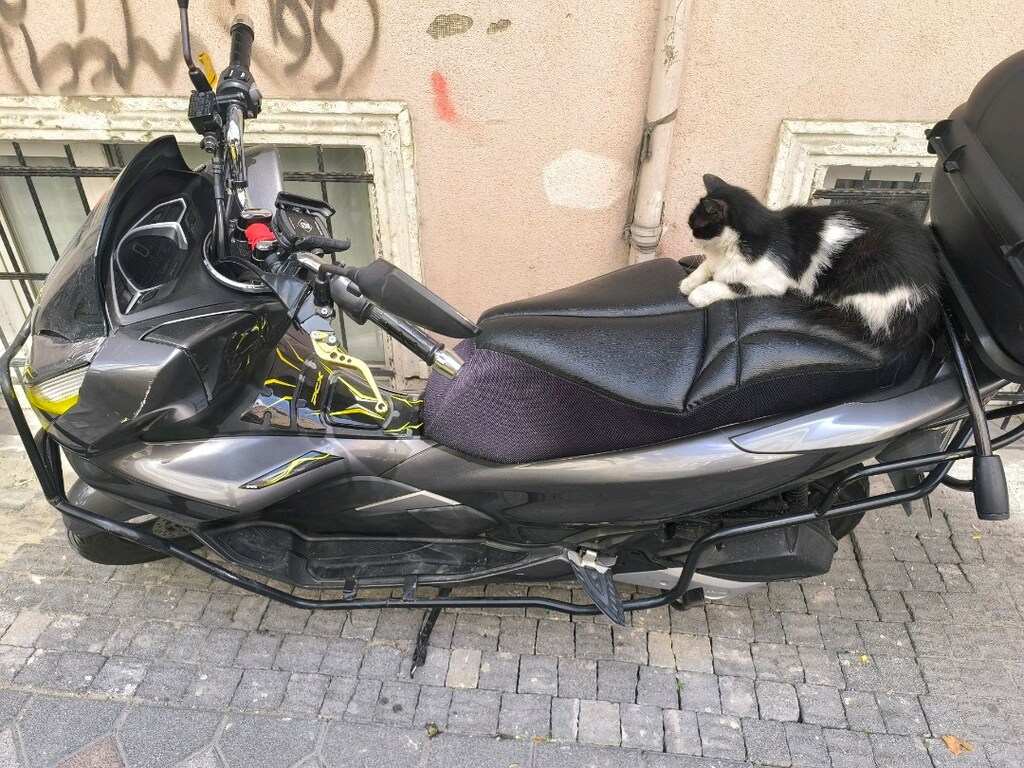 2020 pcx temiz - 3