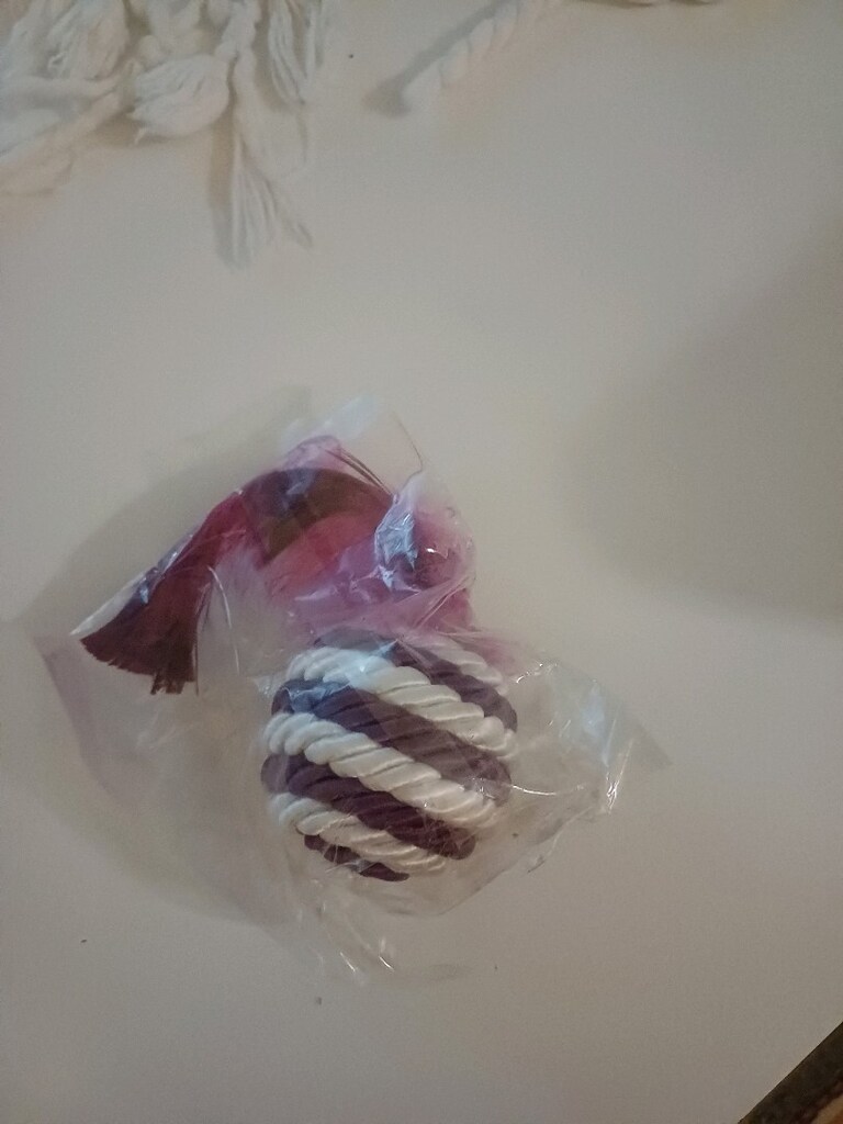 kedi oyuncaklari kedi tarağı gezi tasmasi kurmali fare - 3