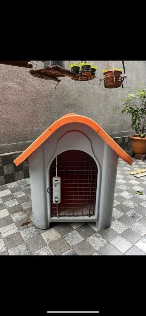 Köpek Kulübesi - 2