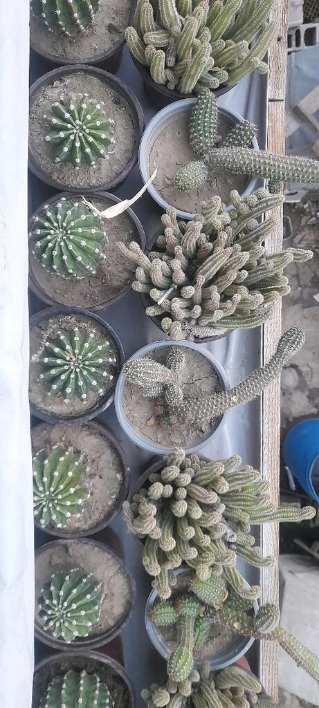 açıklamayı okuyun - 3