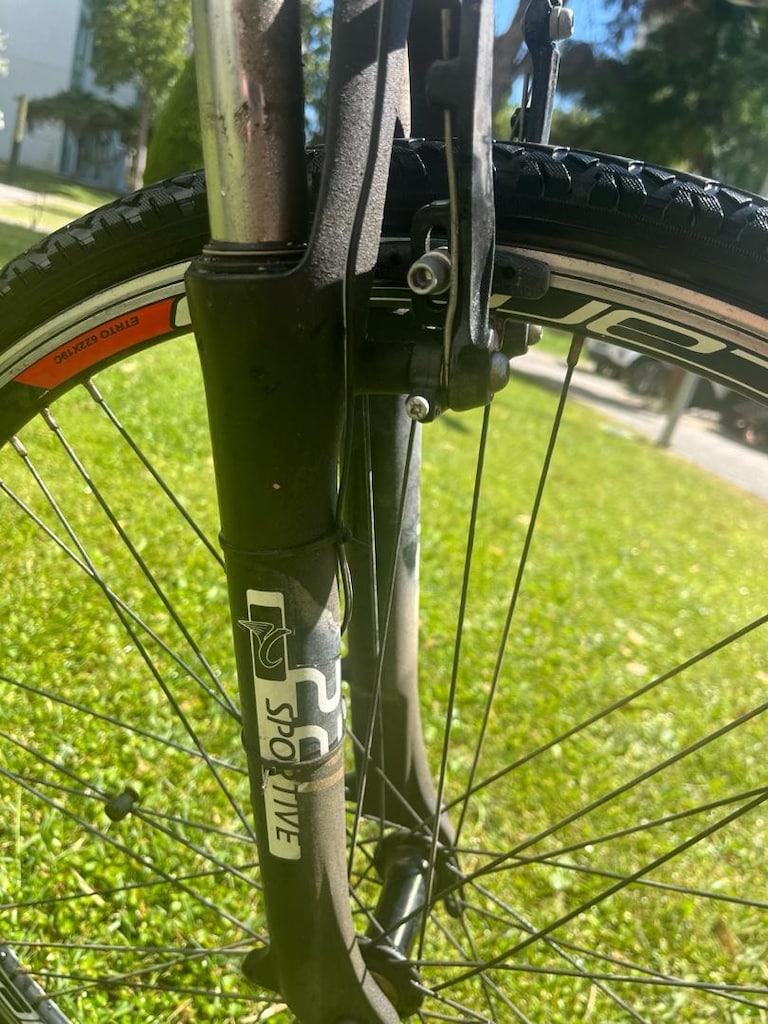 Carraro Sportive 221 - çok temiz, az kullanılmış - 7