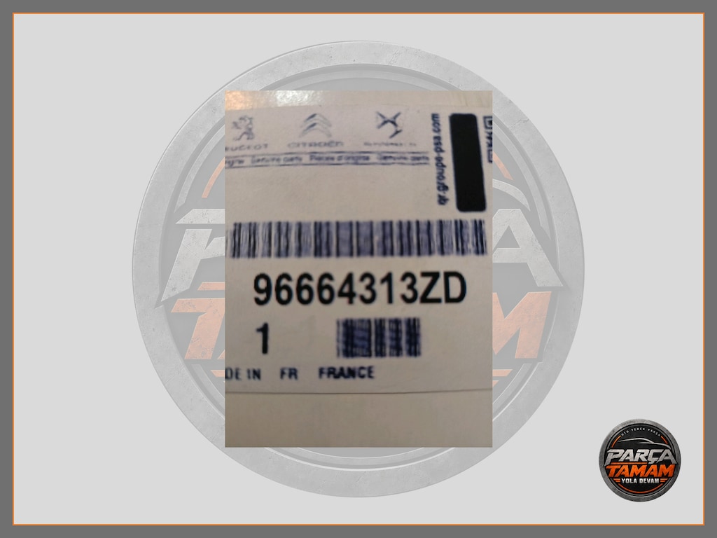 PEUGEOT 208 ARKA CAM AÇMA DUĞMELER - 3