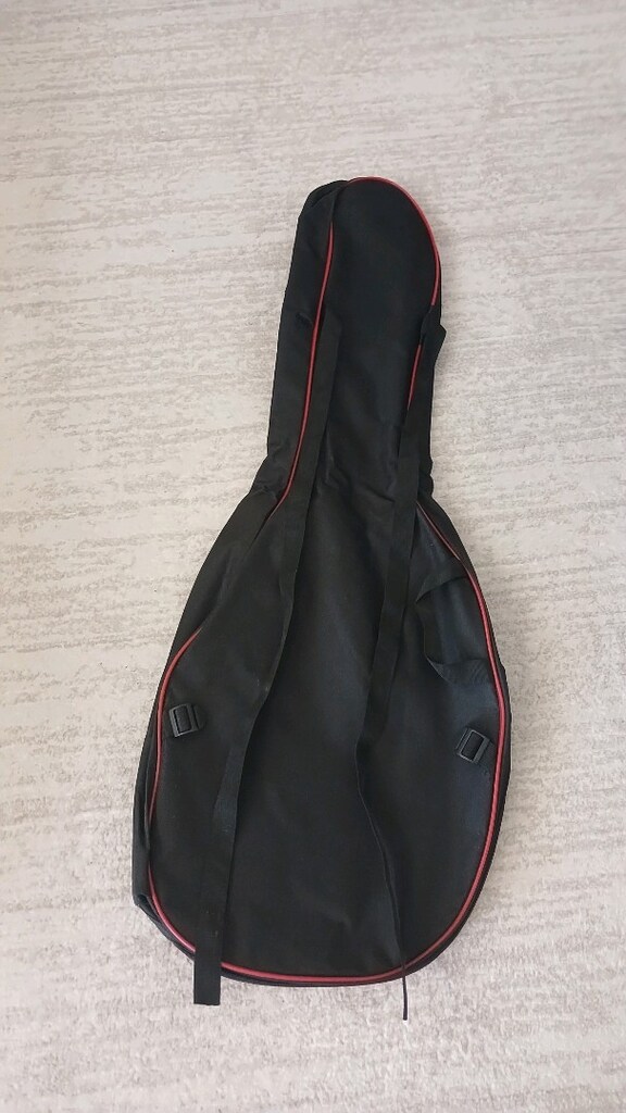 gitar taşıma çantası - 2