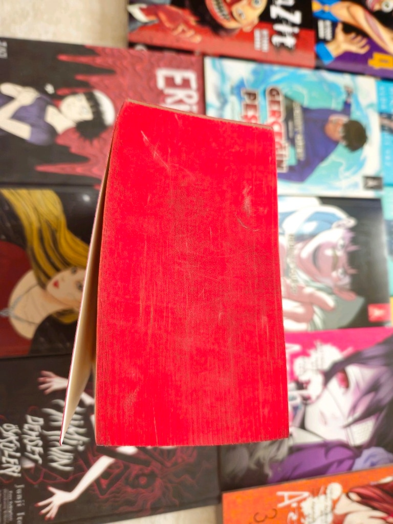 MEGA MANGA KİTAP KOLEKSİYONU TERTEMİZ! - 5