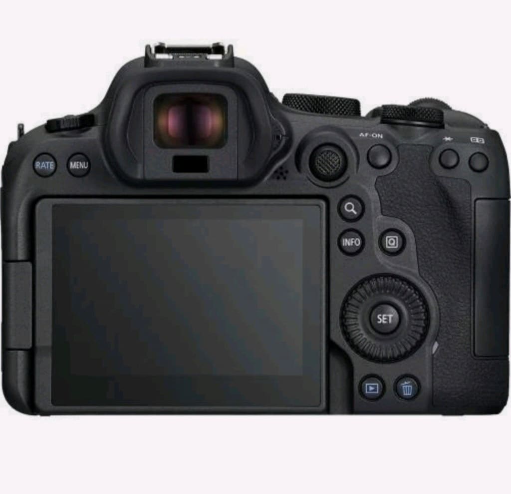 Canon EOS R6 Mark II + 24-105mm f/4-7.1 IS STM Lens Kit - 2