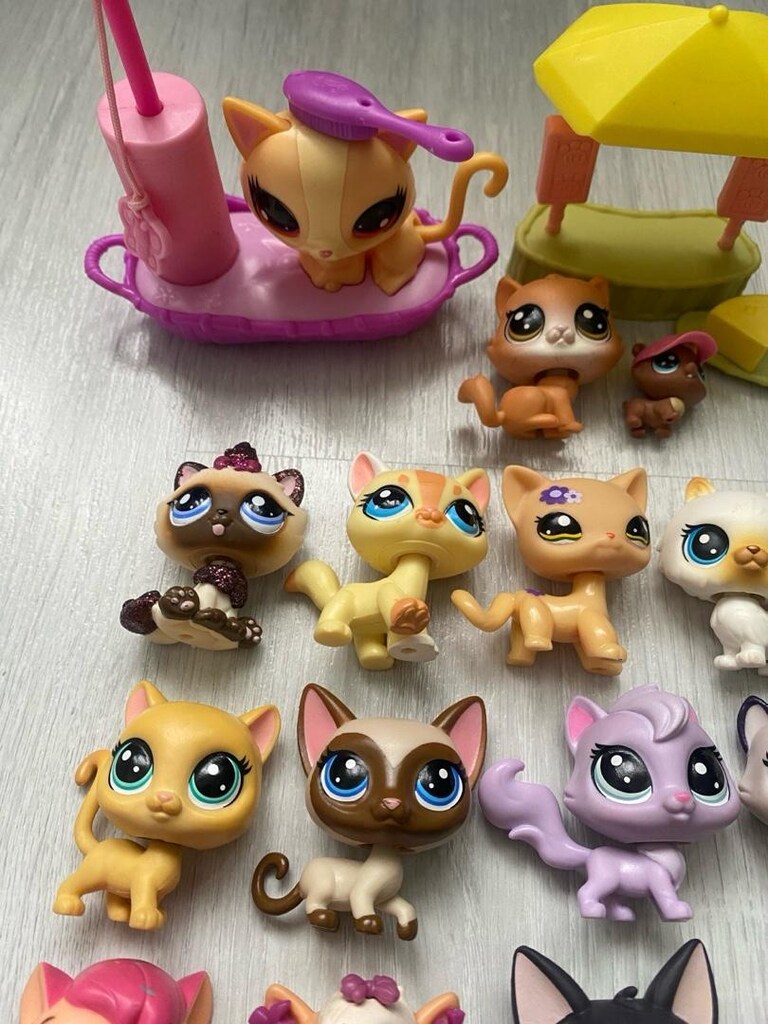 kedi minişler - 5