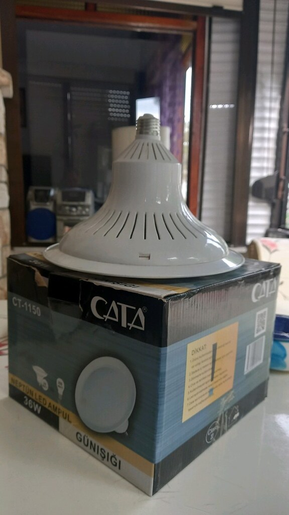cata - 1150