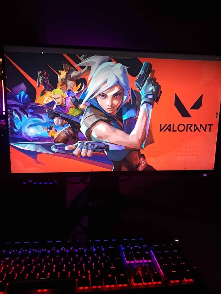 360HZ-3070 SUPRİM X-5600X GAMING PC (Full Setup- Her şey dahil) - 3