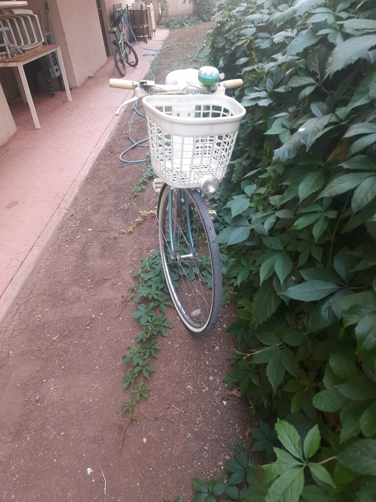 İLK SAHİBİNDEN 1989 MODEL PEUGEOT OPERA KAYıŞLI ZİNCİRSİZ - 8