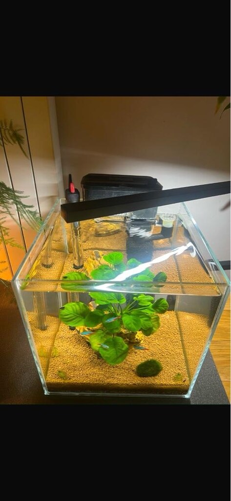Satılık, şık tasarımlı 25 litre Ultra Clear Akvaryum - 3