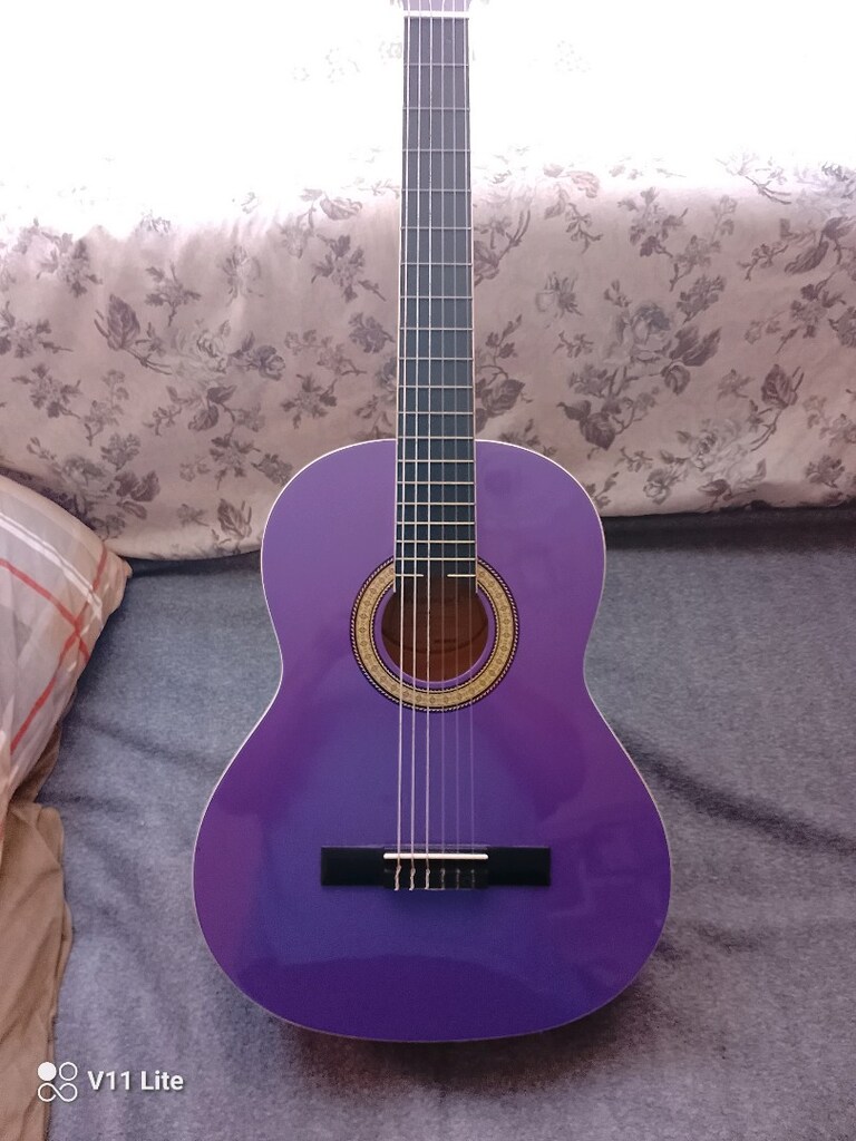 Masterwork gitar - 3