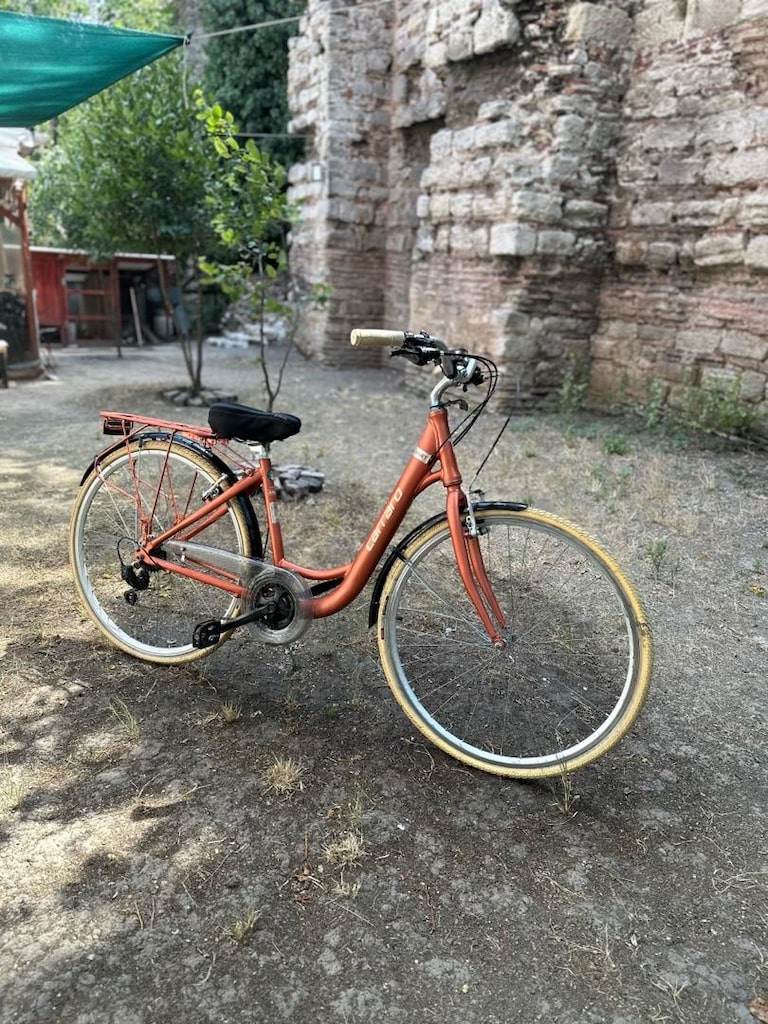 Carraro Juliet 28 Jant 21 Vites V-Fren – Temiz ve Bakımlı - 4