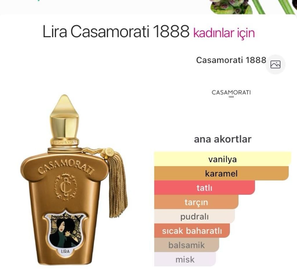 DAYTON MUADİL PARFÜM.CASAMORATI LIRA - 4