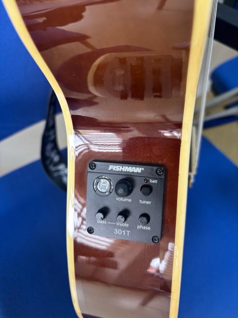 Wasburn EACT12 Elektro Klasik Gitar - 4