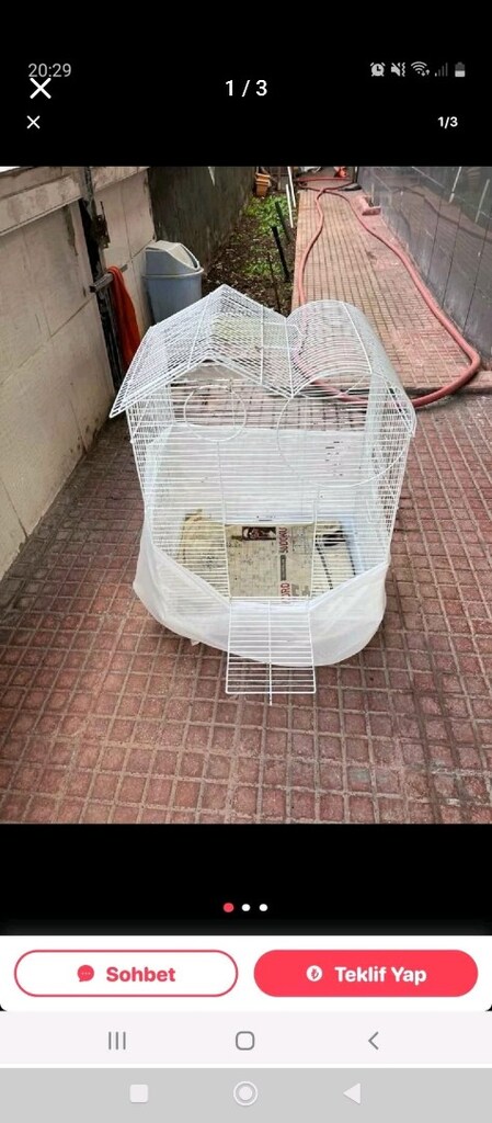 papahan kafesı İlanımda çeşitli ölçülerde kafesler mevcuttur - 3