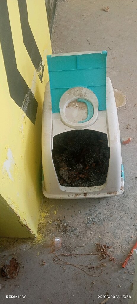 kedi yuvası - 3