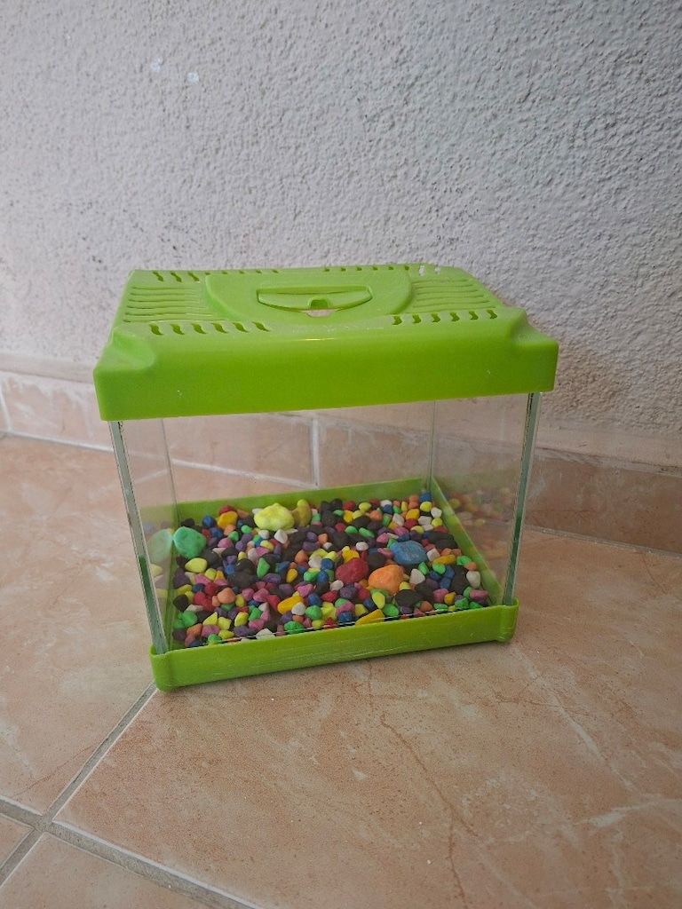 20 cm Akvaryum tasları ile birlikte - 8