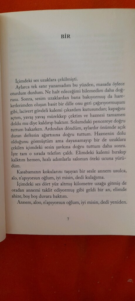 KUŞLAR YASINA GİDER, HASAN ALİ TOPTAŞ, YEDİ KAPILI KIRK ODA, MURATHAN - 3
