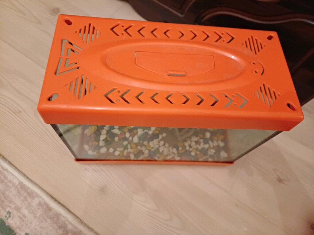 akvaryum - 3
