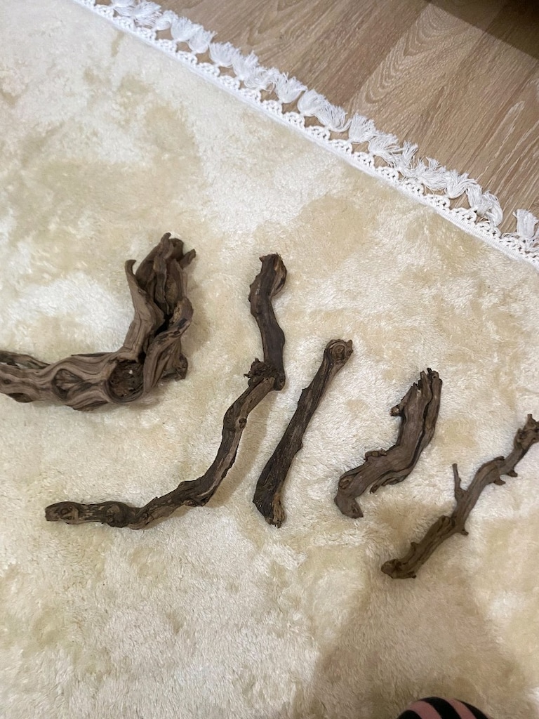 Akvaryuma Hazır Asma Kökü - Spider Wood - 3 Kez Kaynatıldı, Direk Bata - 6