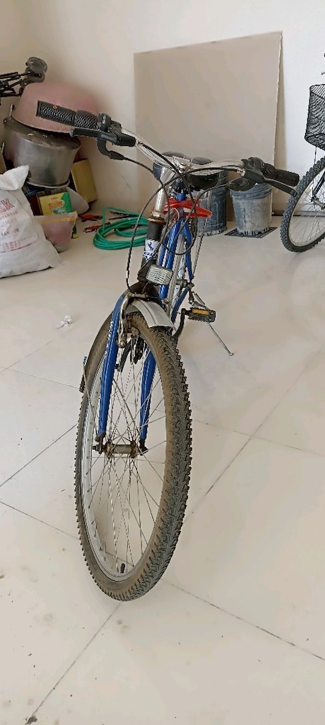 Bisan Kayıhan 26" vitesli bisiklet - 11
