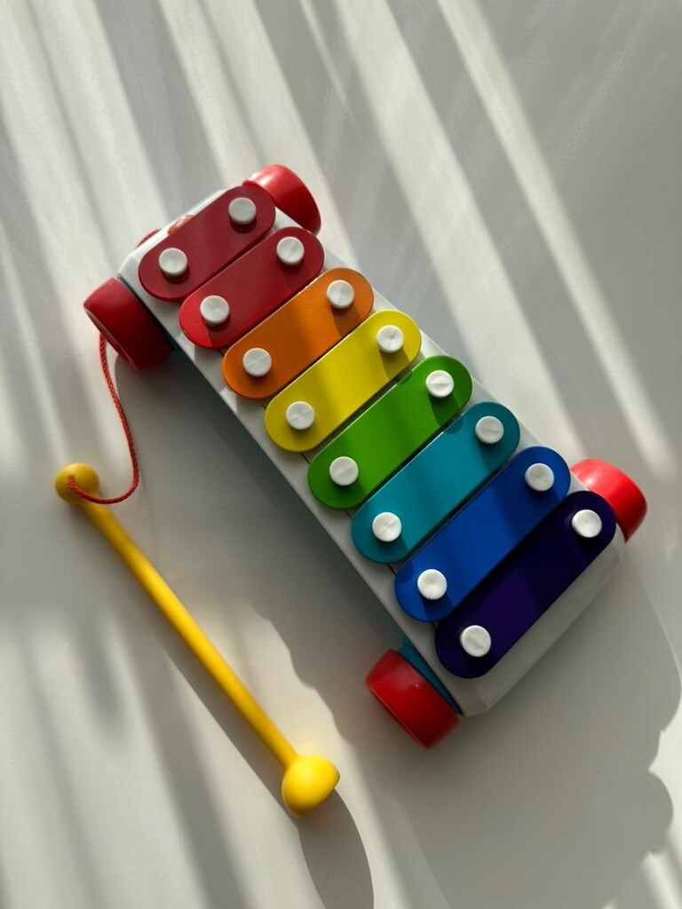 Fisher price Müzik Çalmalı Ksilafon - 3