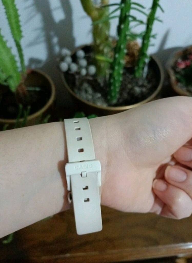 Orjinal Casio LRW-200H Mini Kadın Saat Hatasız - 10