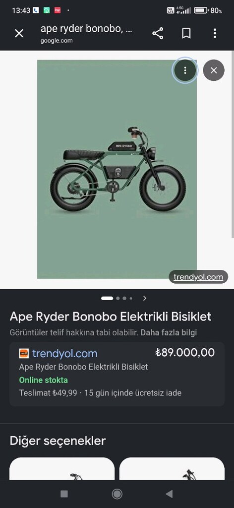 APE Ryder Bonobo (yurt dışı/off-road 750W versiyon Hidrolik disk fren - 13