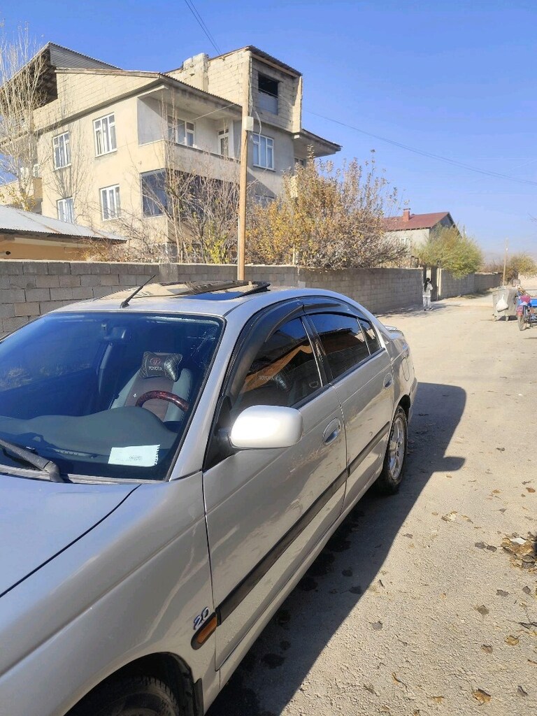 murat kaya - 5
