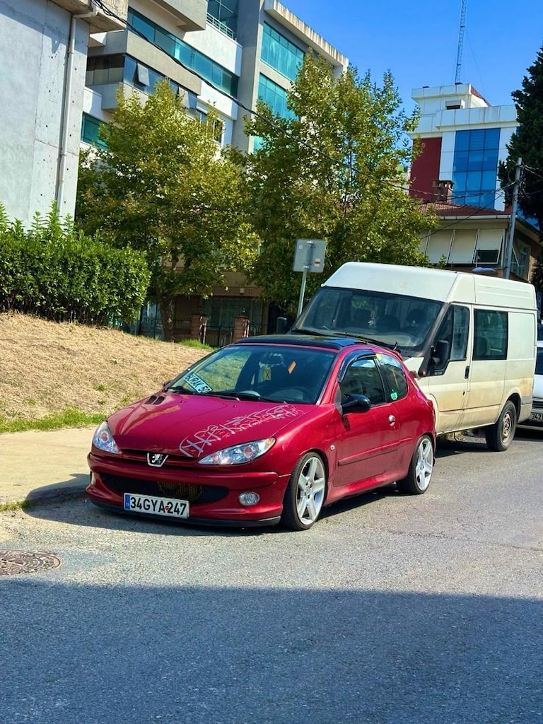 Tertemiz peugeot 206 - 9