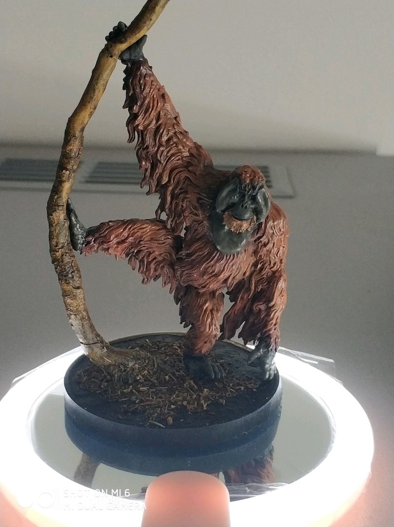 Koleksiyonluk El Boyaması Sumatran Orangutan Minyatürü (FRP / Diorama - 2