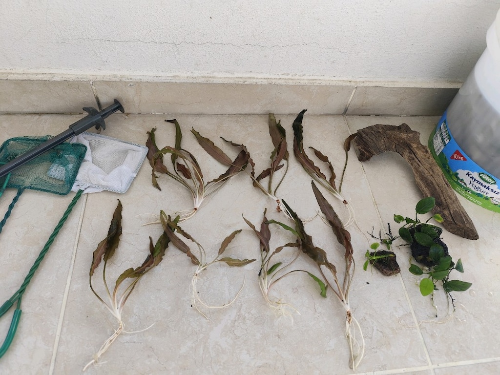 uygun fiyata bitkili akvaryum seti(120litre) - 2