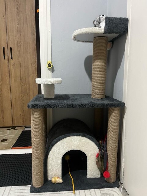 Tertemiz, Hasarsız Çok Katlı Kedi Evi ve Tırmalama