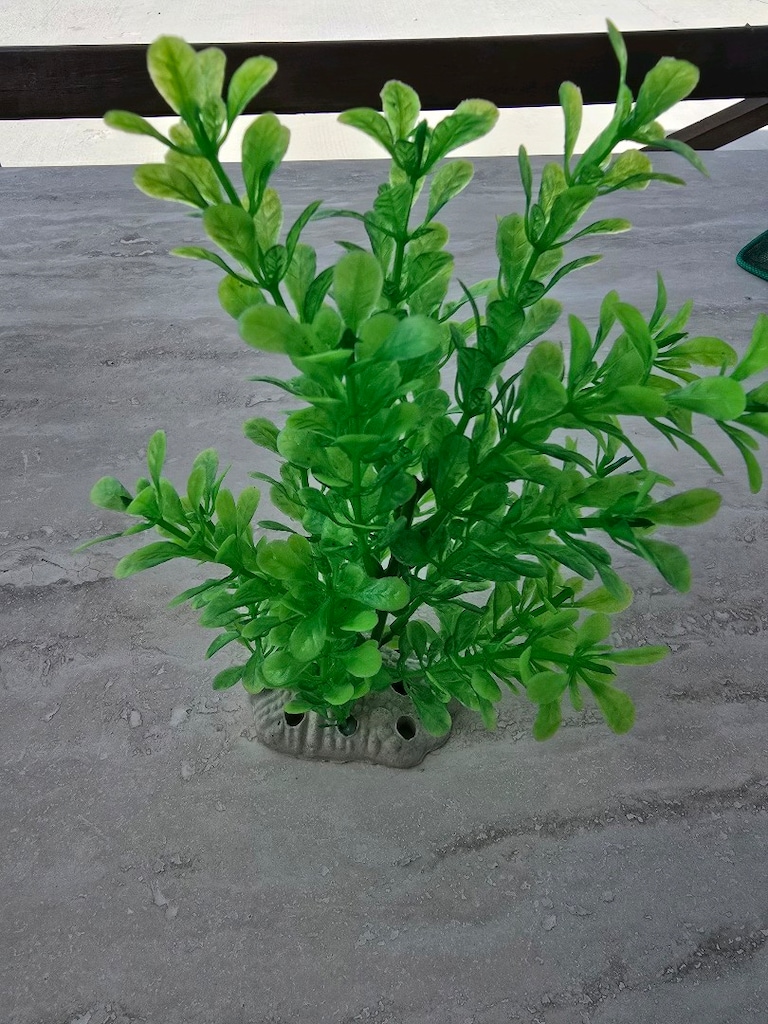 YAZ KAMPANYASI!80 Litre (Oval Akvaryum)Herşey DAHİL 4.500 TL - 6