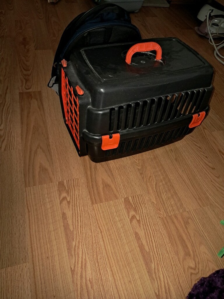 kedi köpek taşıma çantası - 4