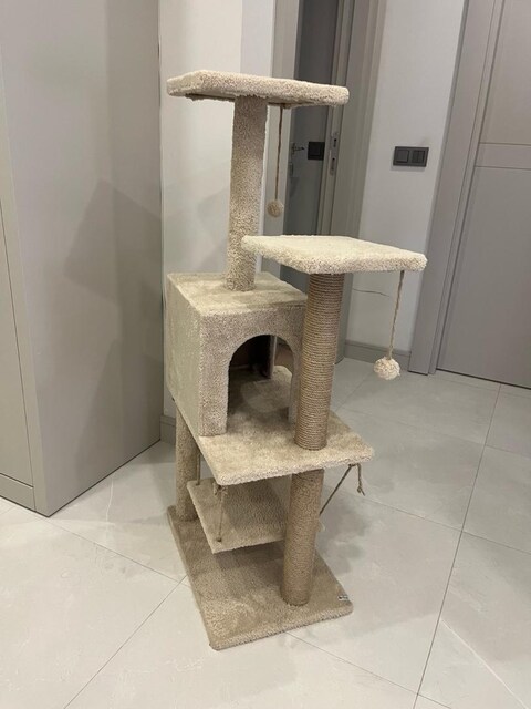 KEDİ EVİ