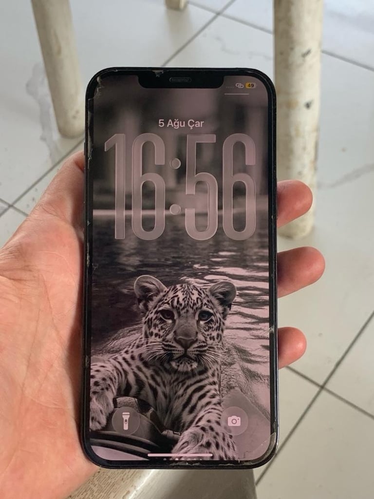 İphone 12 Pro Max Yd - 2