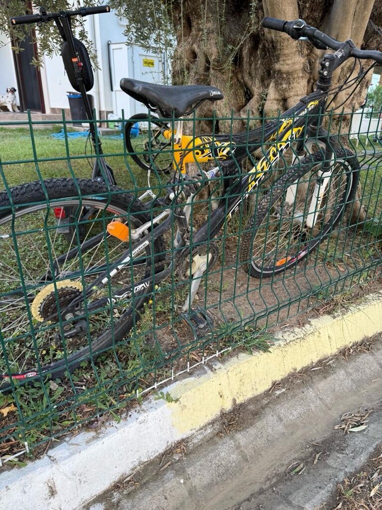 bianchi scorpion bisiklet - 3